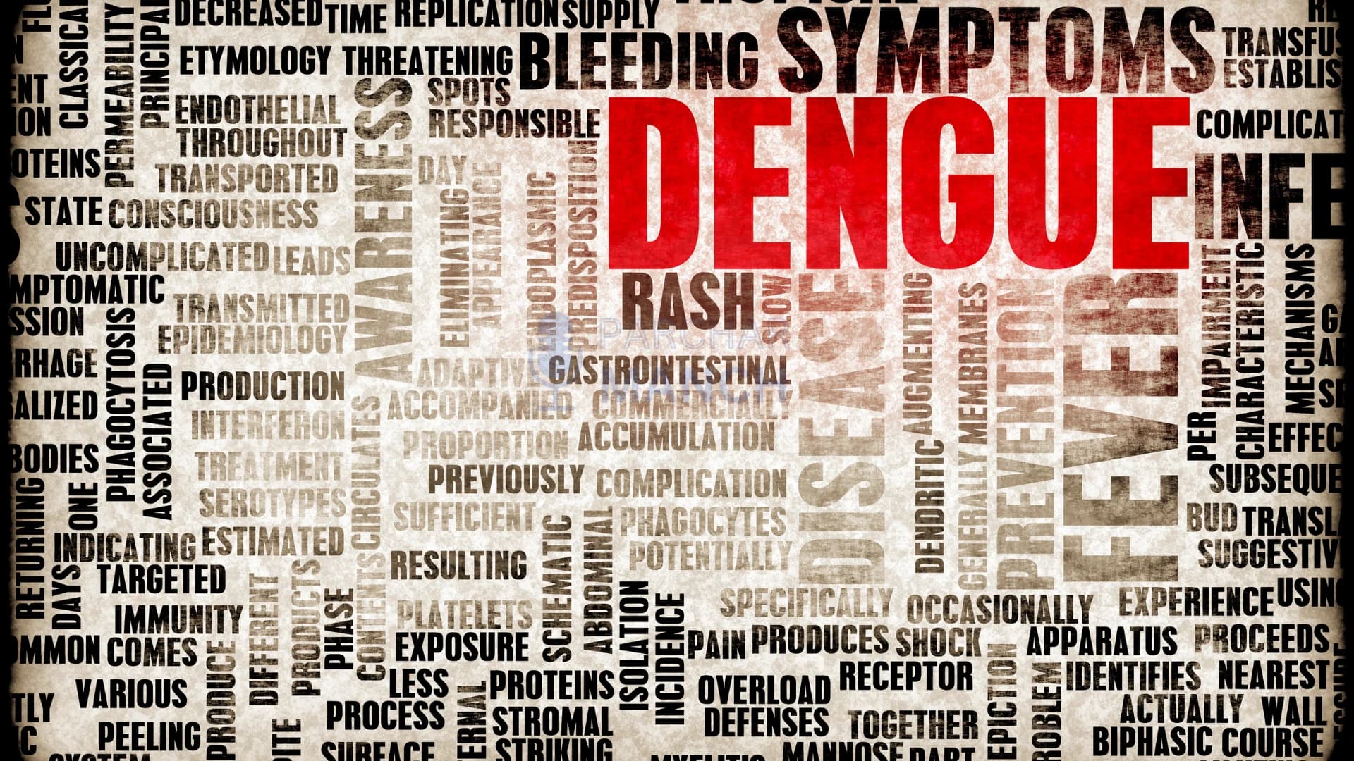 Dengue, Malaria & Viral Fever Alerts: Symptoms, Prevention & Safety Measures