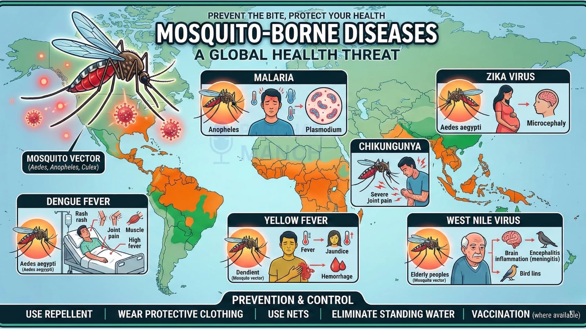Dengue, Malaria & Chikungunya Outbreaks: Why They Increase Every Year