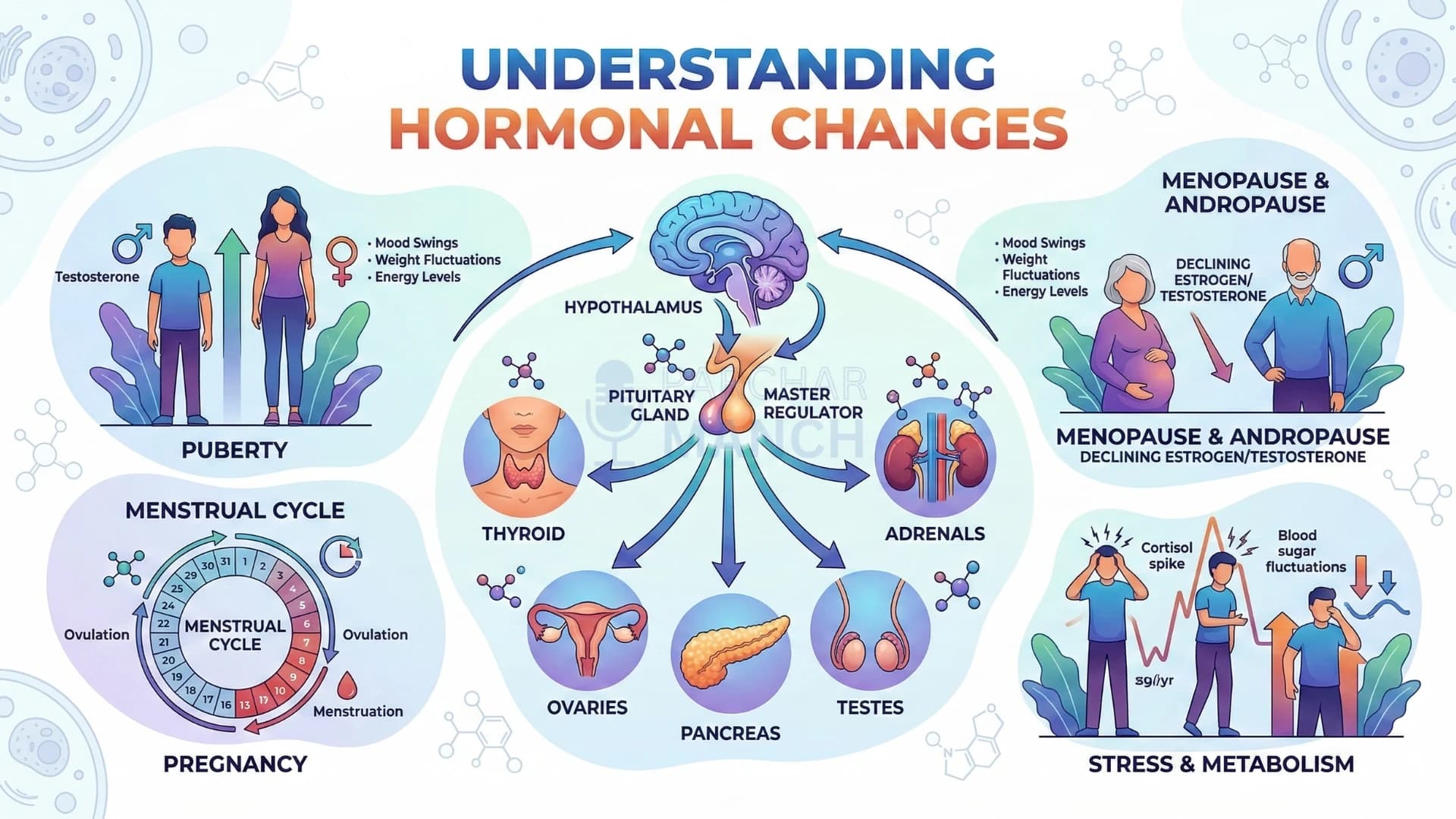Weight Loss After 30: Why It Gets Harder & How to Fix It