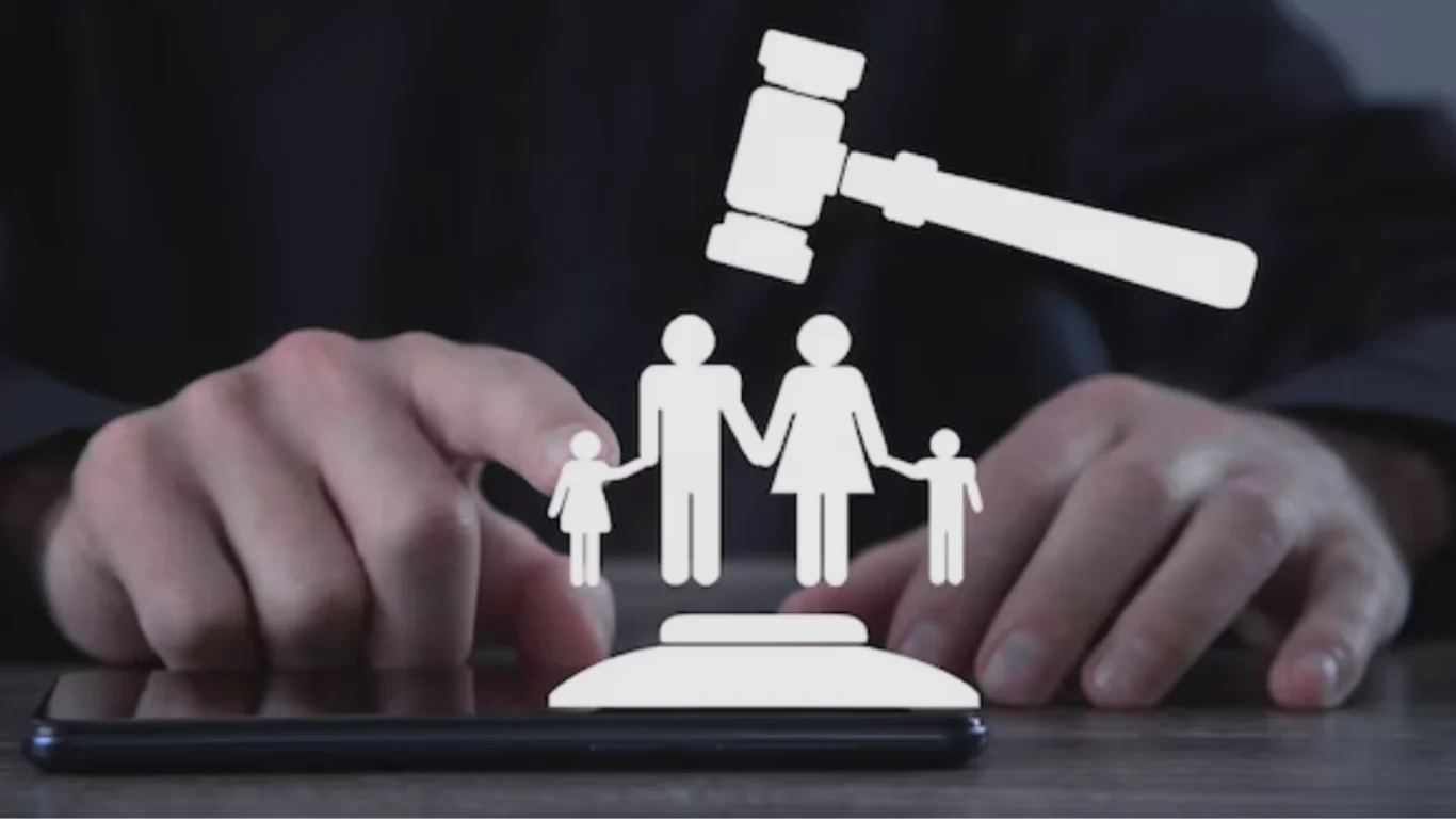 Legal Framework and Safeguards for Human Rights