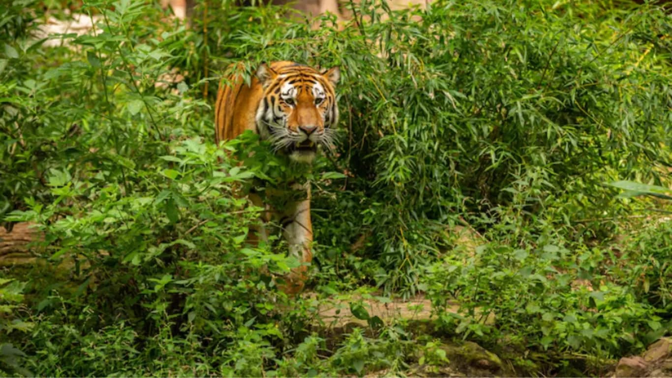 Most Popular Viral News